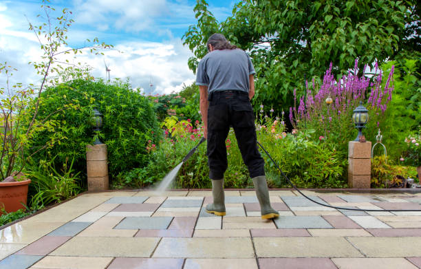 Animal Enclosure Cleaning in West Orange, TX